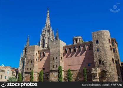 Barcelona Cathedral in a beautiful summer day, Catalonia, Spain