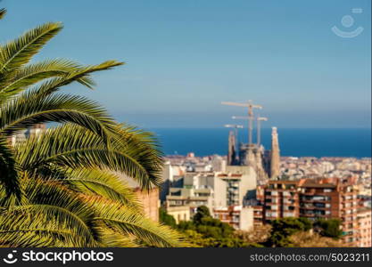 Barcelona cityscape overlook from Park Guell. Focus on palm tree.