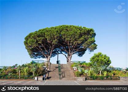 Barcelos viewpoint in Funchal, Madeira island, Portugal