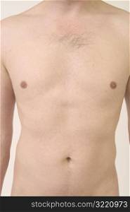 Bare Chest And Stomach Of Male Nude