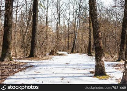 bare trees and frozen ice path in spring forest