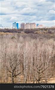 bare trees in spring forest and urban houses