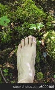barefoot aerial view on mossy surface in the forest
