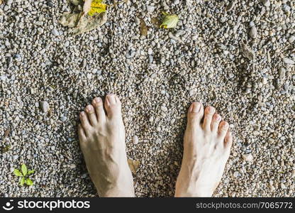 Barefoot aerial view on stone surface in the forest