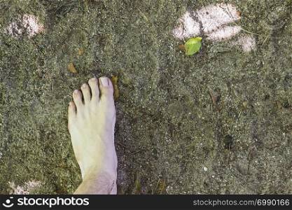 barefoot aerial view on surface in the forest
