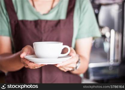 Barista serving freshly brewed coffee, stock photo