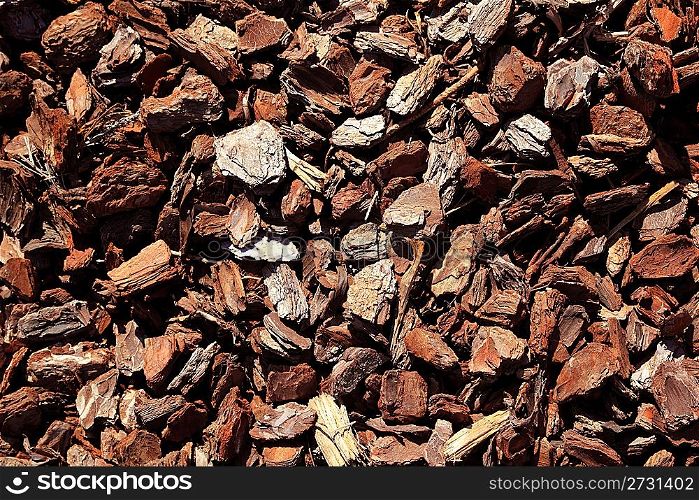 bark brown tree trunk pattern texture used as soil in garden deco