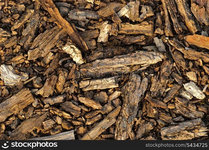 Bark tree texture, shards of old bark at the timberyard