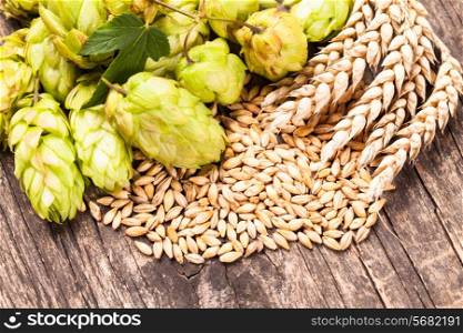 Barley and hops on a wooden background. Beer concept