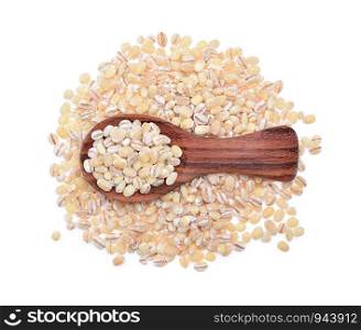Barley grains isolated on white background