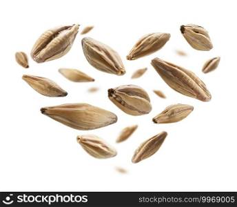 Barley malt grains in the shape of a heart on a white background.. Barley malt grains in the shape of a heart on a white background