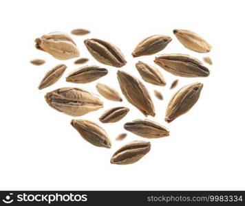 Barley malt grains in the shape of a heart on a white background.. Barley malt grains in the shape of a heart on a white background