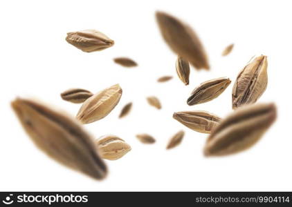 Barley malt grains levitate on a white background.. Barley malt grains levitate on a white background