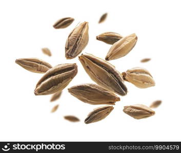 Barley malt grains levitate on a white background.. Barley malt grains levitate on a white background