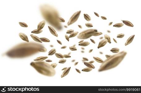 Barley malt grains levitate on a white background.. Barley malt grains levitate on a white background