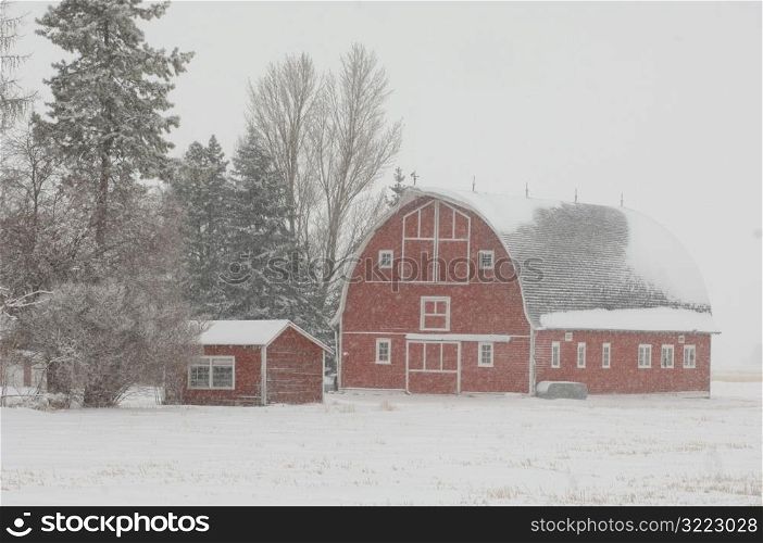 Barn and Buildings on Farm in Alberta Canada
