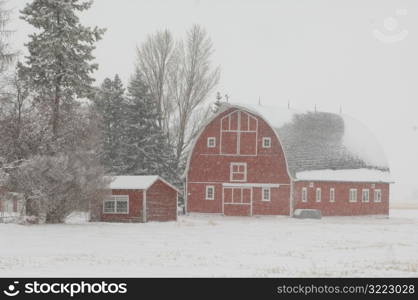 Barn and Buildings on Farm in Alberta Canada