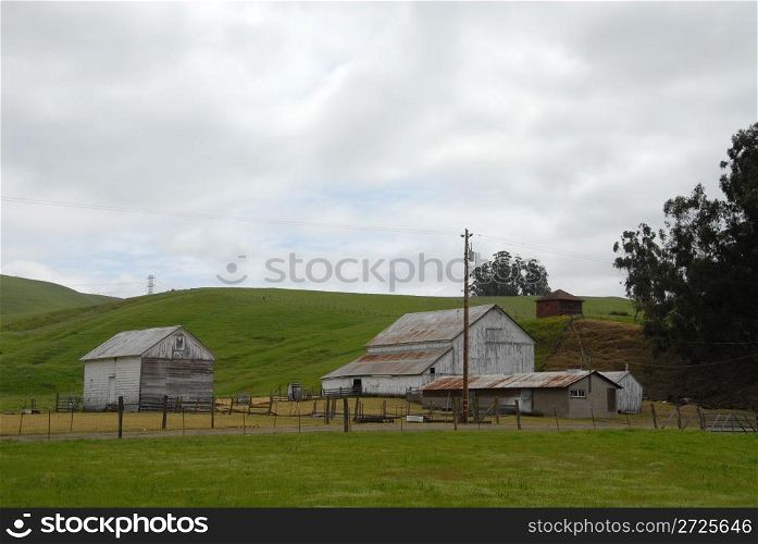 Barn and shed, Sonoma County, California