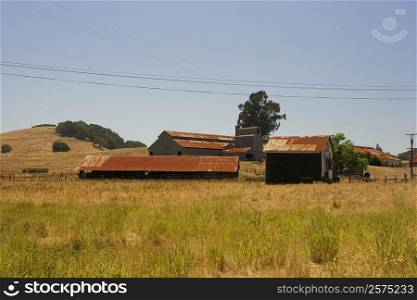 Barn in a field