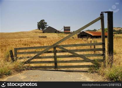 Barn in a field