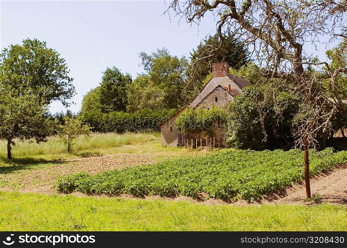 Barn in a field, Loire Valley, France