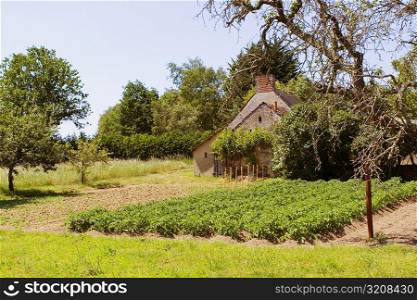 Barn in a field, Loire Valley, France