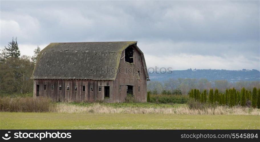 Barn in a field, Mount Vernon, Skagit County, Washington State, USA