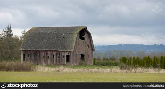 Barn in a field, Mount Vernon, Skagit County, Washington State, USA