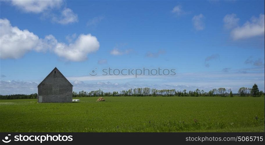 Barn in green grassy field at farm, Kensington, Prince Edward Island, Canada