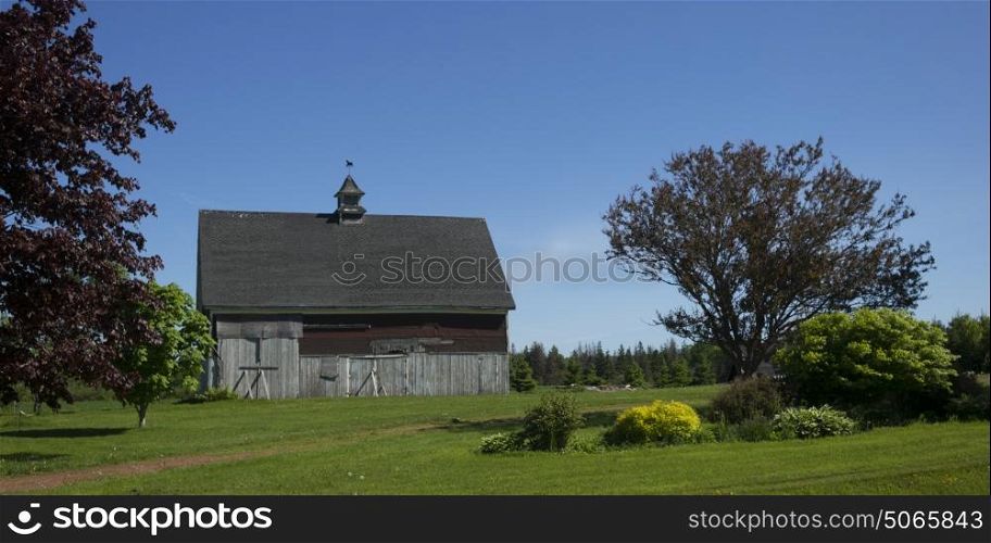 Barn on field, Albany, Prince Edward Island, Canada
