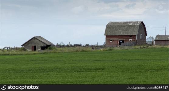 Barns at farm, Southern Alberta, Alberta, Canada