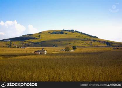 Barns in a field, Michoacan State, Mexico