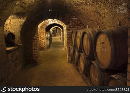 Barrels in a wine-cellar.