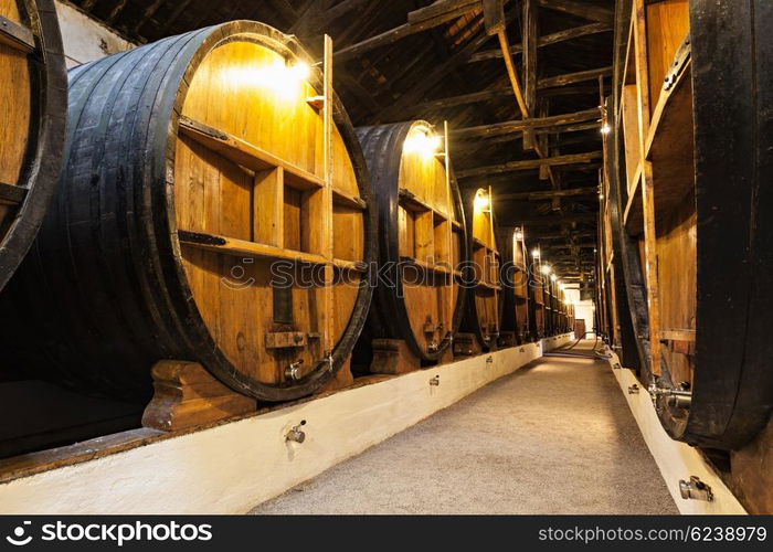 Barrels in the wine cellar, Porto, Portugal