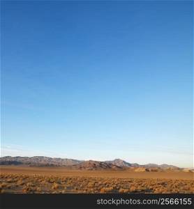 Barren desert landscape with mountains in distance.