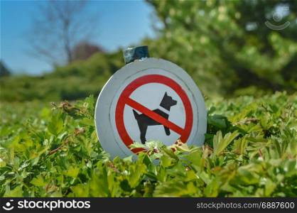 Barrier of the passage of dogs . Barrier of the passage of dogs on a hedge in bushes in a park in France