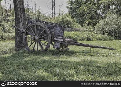 Barrow next to a tree over grass field, hdr horizontal image