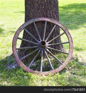 Barrow wheel leaning to tree, square image