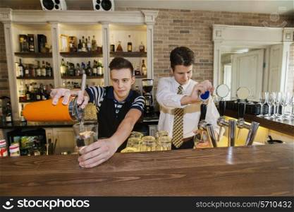 Bartenders working at counter in restaurant