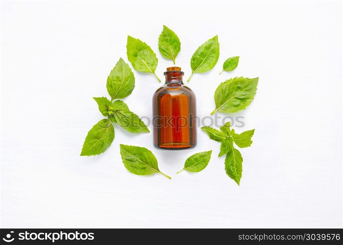 Basil essential oil with Basil leaves on white.. Basil essential oil with Basil leaves on white blackground.
