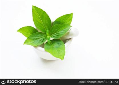Basil in porcelain mortar and pestle on white.. Basil in porcelain mortar and pestle on white background.