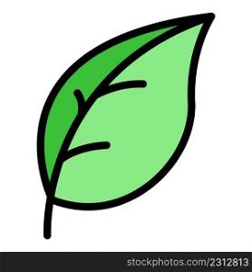 Basil leaf farm icon. Outline basil leaf farm vector icon color flat isolated. Basil leaf farm icon color outline vector