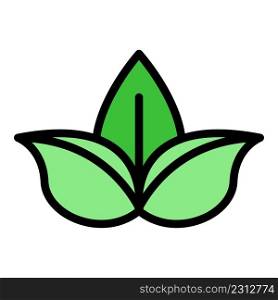 Basil leaf icon. Outline basil leaf vector icon color flat isolated. Basil leaf icon color outline vector