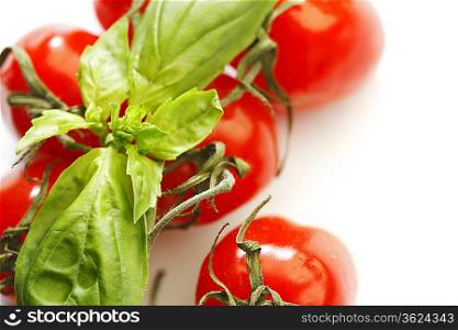 Basil leaves and tomatoes