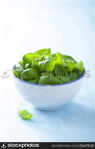 basil leaves in bowl over blue