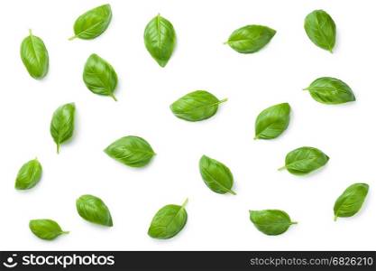 Basil leaves isolated on white background. Top view. Flat lay