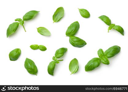 Basil leaves isolated on white background. Top view. Flat lay