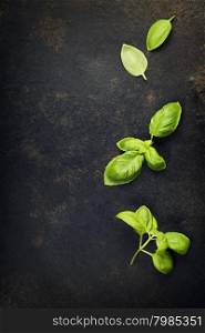 basil leaves on darc rustic background