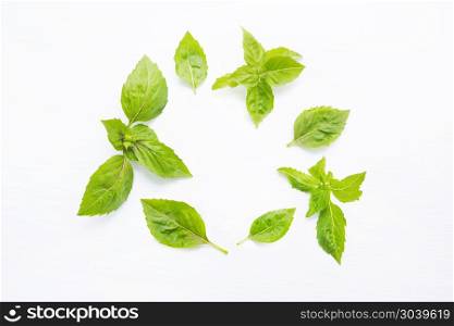 Basil leaves on white. Copy space. Basil leaves on white blackground.