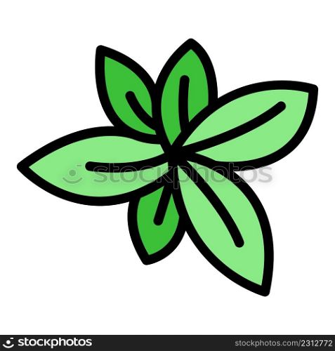 Basil plant icon. Outline basil plant vector icon color flat isolated. Basil plant icon color outline vector